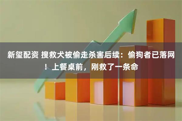 新玺配资 搜救犬被偷走杀害后续：偷狗者已落网！上餐桌前，刚救了一条命